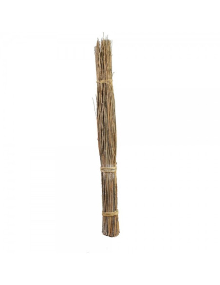 Manojo de cañas de mimbre decorativas