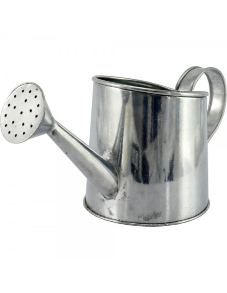 Regadera de zinc
