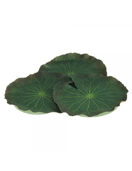 Hoja de nenúfar