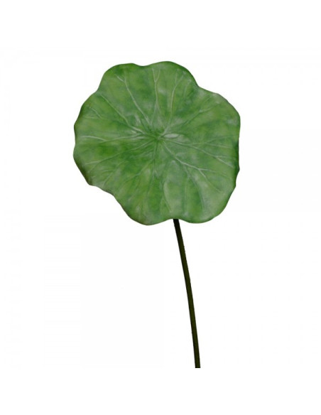 Hoja de lirio de agua
