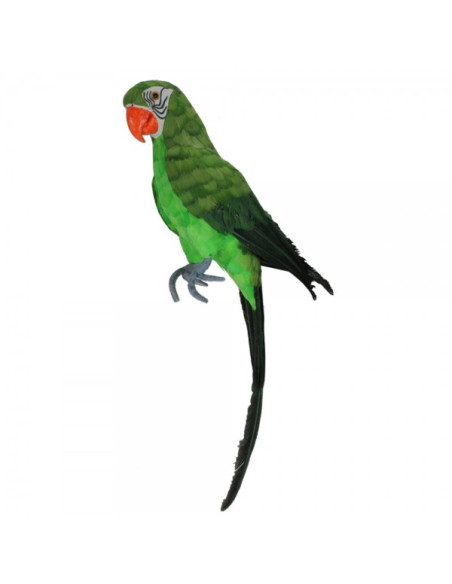 Loro tropical sentado