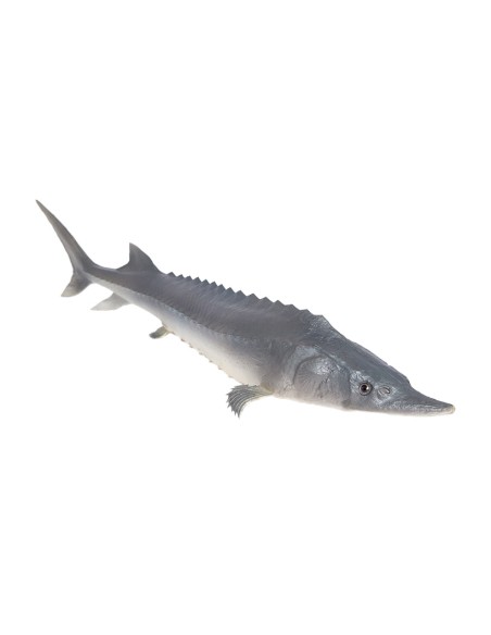 Imitación de esturión pez para pescaderías y la decoración de escaparates de tiendas o comercios