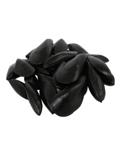 Imitación de mejillones para pescaderías y la decoración de escaparates de tiendas o comercios