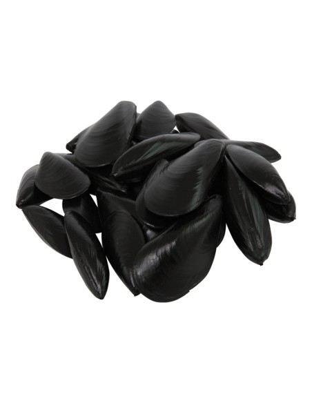 Imitación de mejillones para pescaderías y la decoración de escaparates de tiendas o comercios