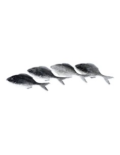 Imitación de sardinas para pescaderías y la decoración de escaparates de tiendas o comercios