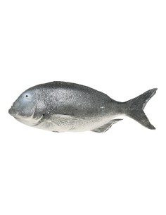 Imitación de perca para pescaderías y la decoración de escaparates de tiendas o comercios