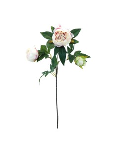 Flor peonía para escaparates de primavera en tiendas y centros comerciales