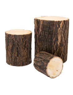 Troncos de madera para la decoración otoñal de escaparates y espacios