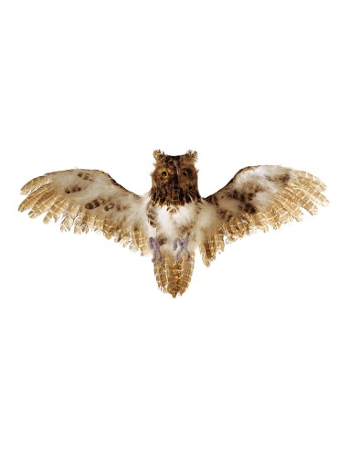 Búho volando para la decorar en otoño los escaparates o espacios