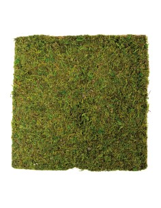 Panel de musgo para la decoración otoñal de escaparates y espacios