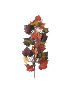 Rama de hojas de vid para la decoración de la vendimia en licorerías catas bodegas de vino