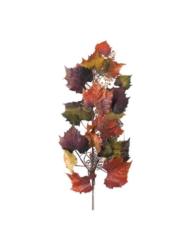 Rama de hojas de vid para la decoración de la vendimia en licorerías catas bodegas de vino