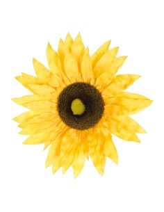 Cabeza de girasol para la decoración de fiestas populares y escaparates