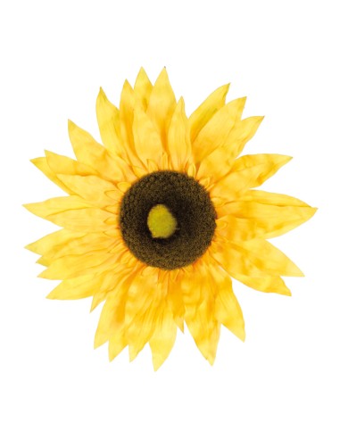 Cabeza de girasol para la decoración de fiestas populares y escaparates