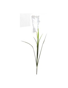 Junco planta para la decoración de fiestas populares y escaparates