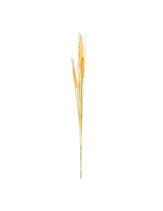Espiga de trigo para la decoración de fiestas populares y escaparates