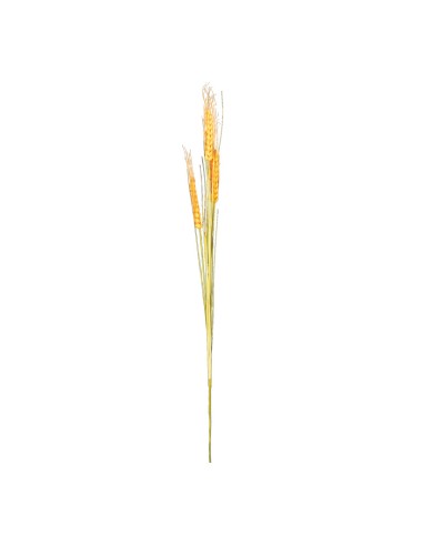 Espiga de trigo para la decoración de fiestas populares y escaparates