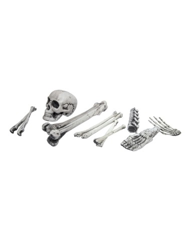 Conjunto de huesos para la fiesta de Halloween