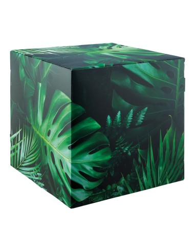 Cubo estampado hoja jungla para la decoración de espacios y escaparates e interior de tiendas