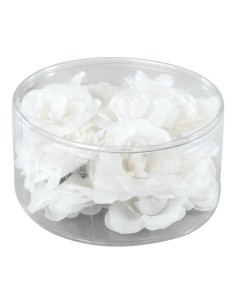 Cabezas de flor de rosa para la decoración en del día de los enamorados