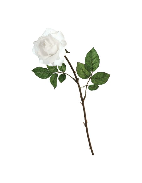 Rosa para la decoración en del día de los enamorados
