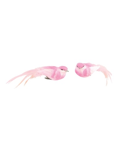 Pájaros con clip para la decoración de verano en escaparates de tiendas o comercios