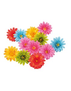 Cabezas de gerberas para la decoración de verano en escaparates de tiendas o comercios