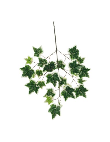 Ramita de hiedra para la decoración de verano en escaparates de tiendas o comercios