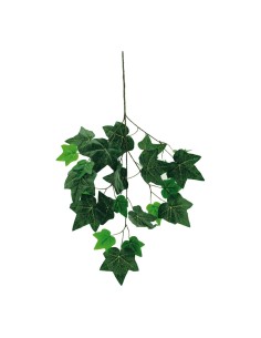 Ramita de hiedra para la decoración de verano en escaparates de tiendas o comercios