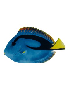 Pez tropical para la decoración de verano en escaparates de tiendas o comercios