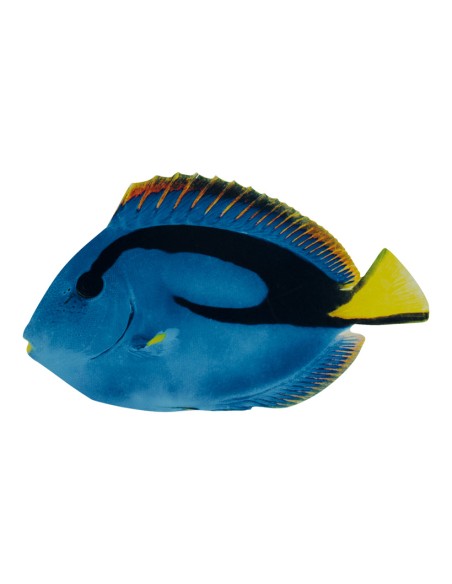 Pez tropical para la decoración de verano en escaparates de tiendas o comercios