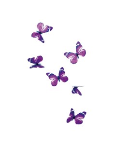 Mariposa con clip para la decoración de verano en escaparates de tiendas o comercios