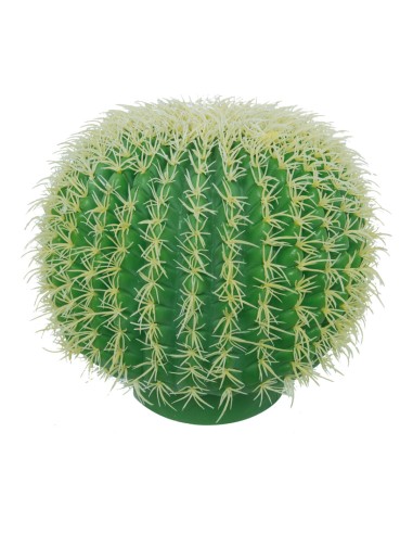 Cactus barril para la decoración de verano en escaparates de tiendas o comercios