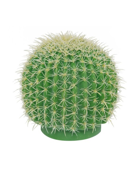 Cactus barril para la decoración de verano en escaparates de tiendas o comercios