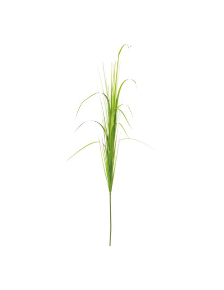 Junco para la decoración de verano en escaparates de tiendas o comercios