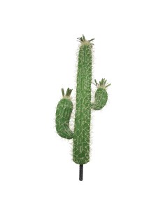 Cacto saguaro para la decoración de verano en escaparates de tiendas o comercios