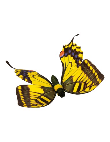 Mariposa para la decoración de verano en escaparates de tiendas o comercios