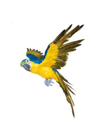 Loro volando para la decoración de verano en escaparates de tiendas o comercios
