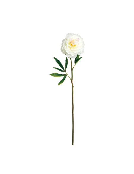 Peonía para la decoración en del día de los enamorados