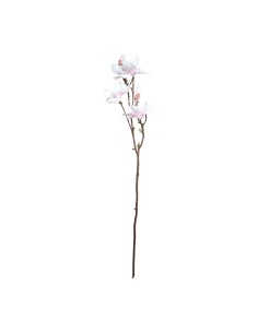 Flor de magnolia con tallo para escaparates de primavera en tiendas y centros comerciales