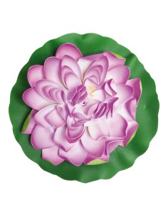 Lirio de agua floreciendo para la decoración de verano en escaparates de tiendas o comercios