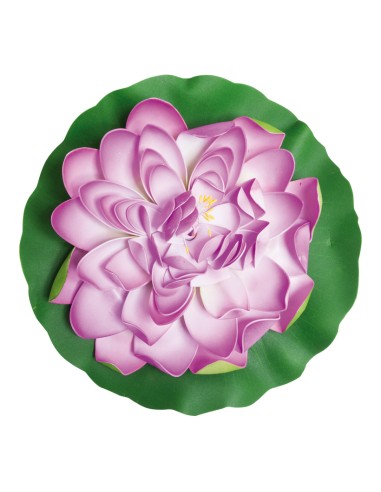 Lirio de agua floreciendo para la decoración de verano en escaparates de tiendas o comercios