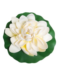 Lirio de agua floreciendo para la decoración de verano en escaparates de tiendas o comercios