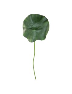 Hoja de nenúfar con tallo para la decoración de verano en escaparates de tiendas o comercios