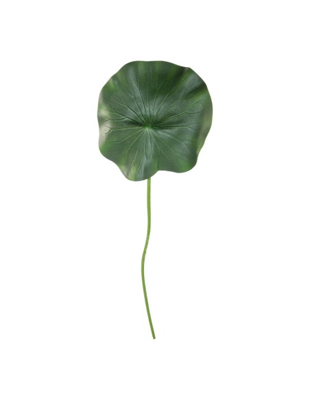Hoja de nenúfar con tallo para la decoración de verano en escaparates de tiendas o comercios