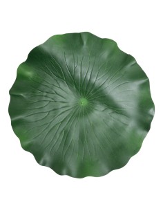 Hoja de lirio de agua para la decoración de verano en escaparates de tiendas o comercios