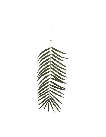 Hoja de palma para la decoración de verano en escaparates de tiendas o comercios