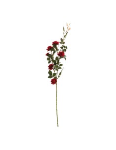 Aerosol de rosas para la decoración en del día de los enamorados