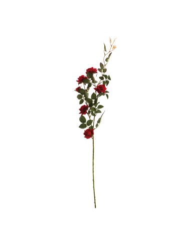Aerosol de rosas para la decoración en del día de los enamorados