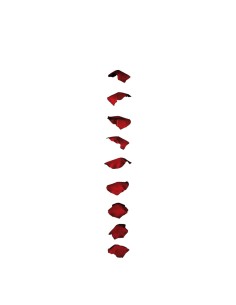 Guirnalda de rosas para la decoración en del día de los enamorados
